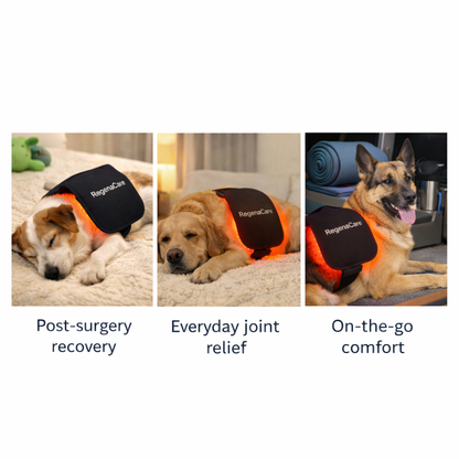 RegenaCare Recovery Light