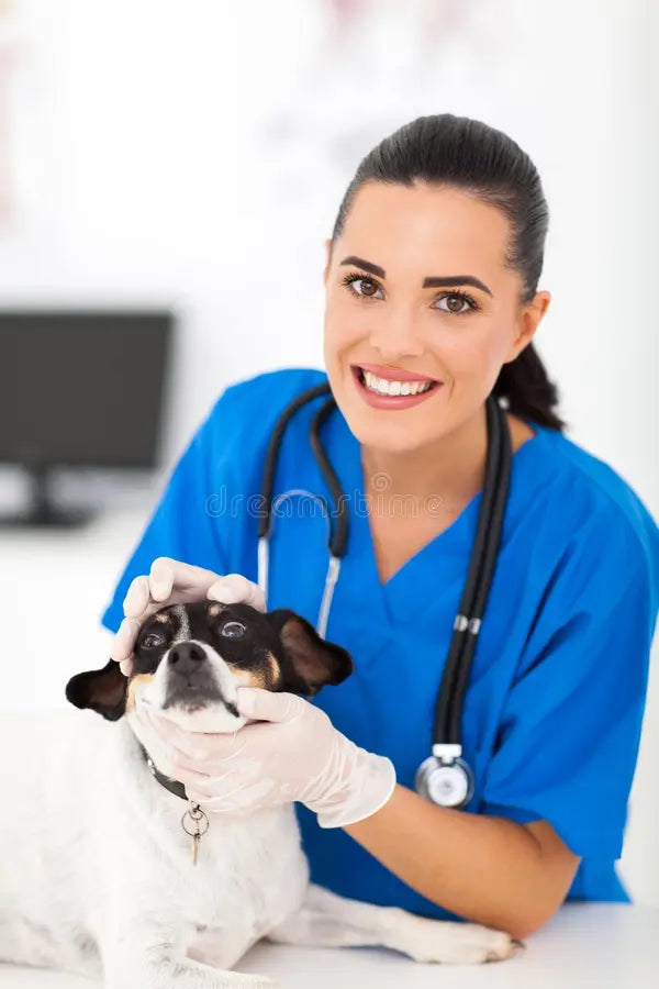 files/professional-female-veterinary-nurse-checking-pet-dog-eyes-29924256.webp